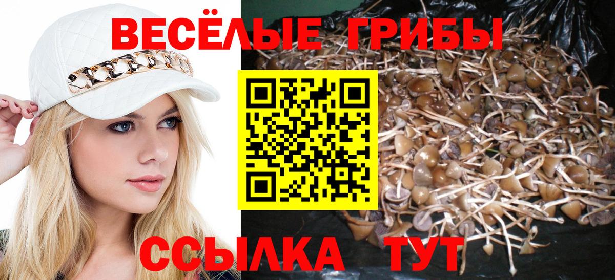 Псилоцибиновые грибы MAGIC MUSHROOMS  Вход с VPN  Ачхой-Мартан 