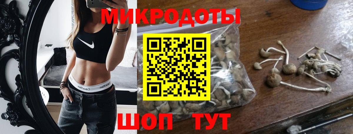 Галлюциногенные грибы Psilocybine cubensis Ачхой-Мартан